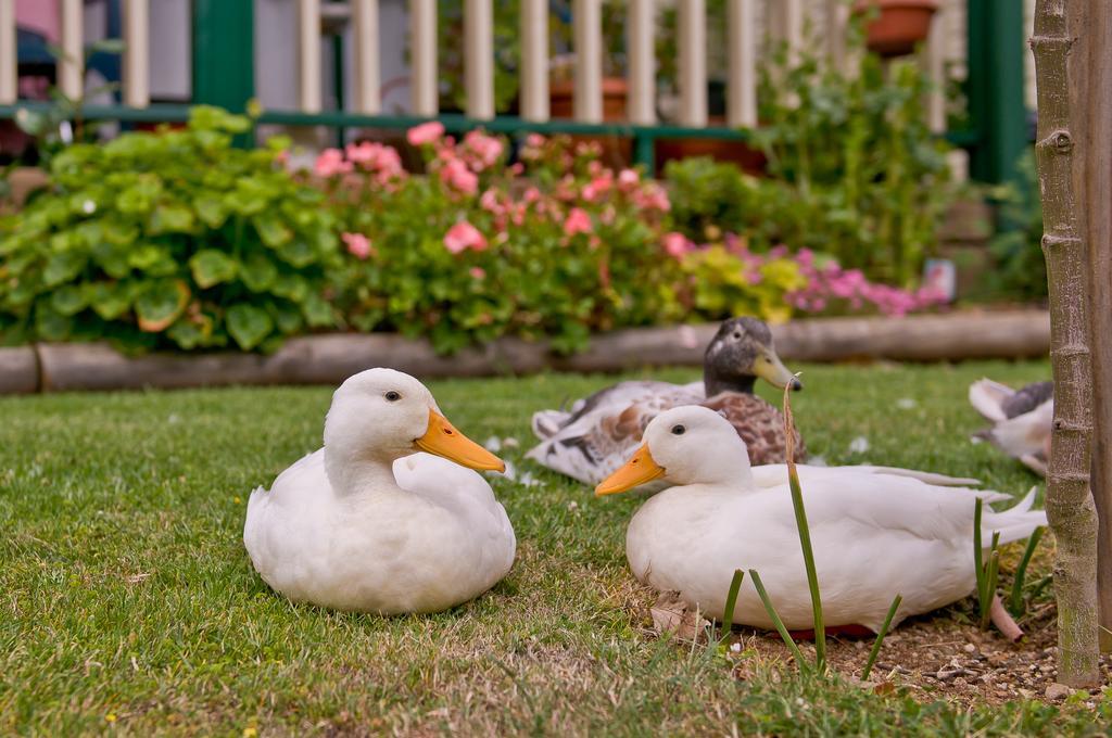 Warragul Gardens Holiday Park Екстериор снимка